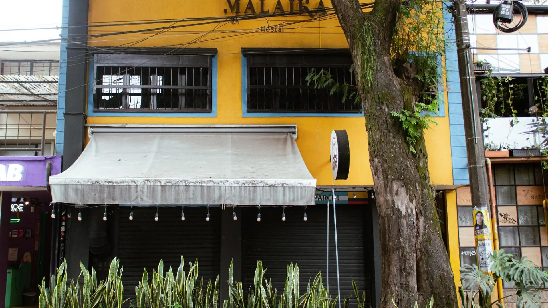 Malaika Hostel Medellín Colombia